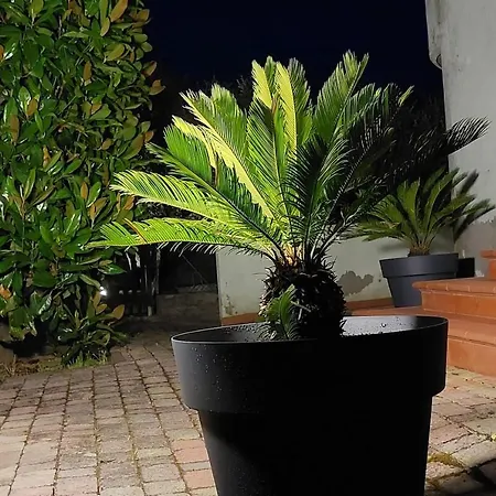 Hébergement de vacances A Casa Danoi