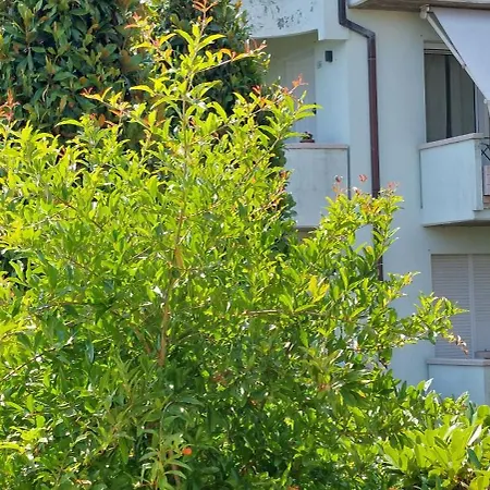 Vakantiehuis A Casa Danoi